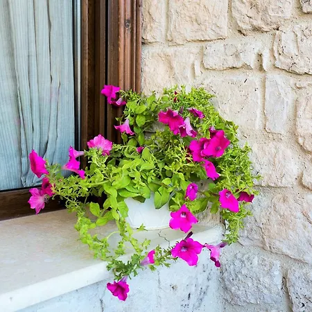 Holiday home Nature