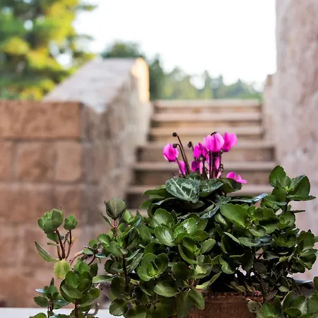 Holiday home Nature Kriopigi